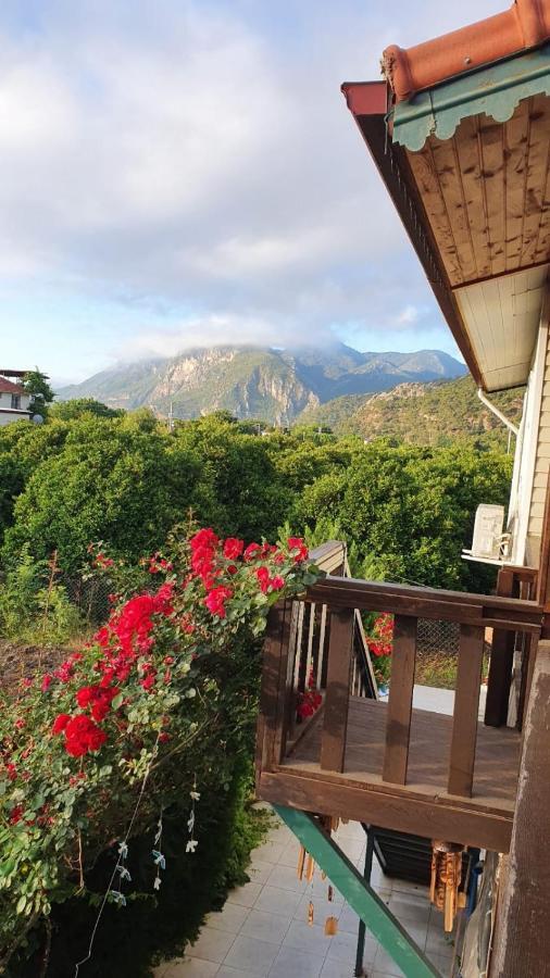 Flora Pansiyon Cirali Lejlighed Kemer Eksteriør billede